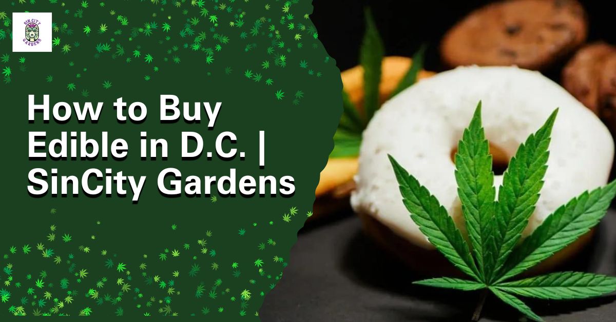 Buy Edible in D.C.