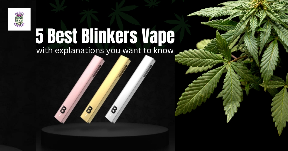 best blinkers vape